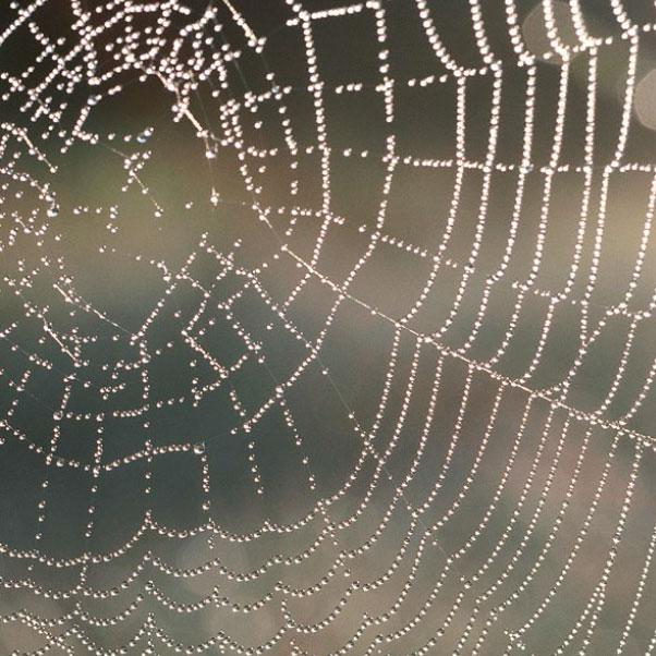 Perspectives on Manufacturing Industries 2016