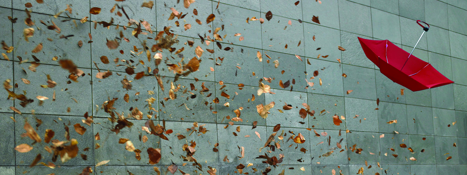 Reimagining Life Insurance