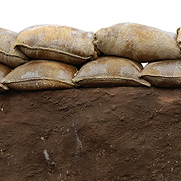 Guidelines for Governing Critical Risks