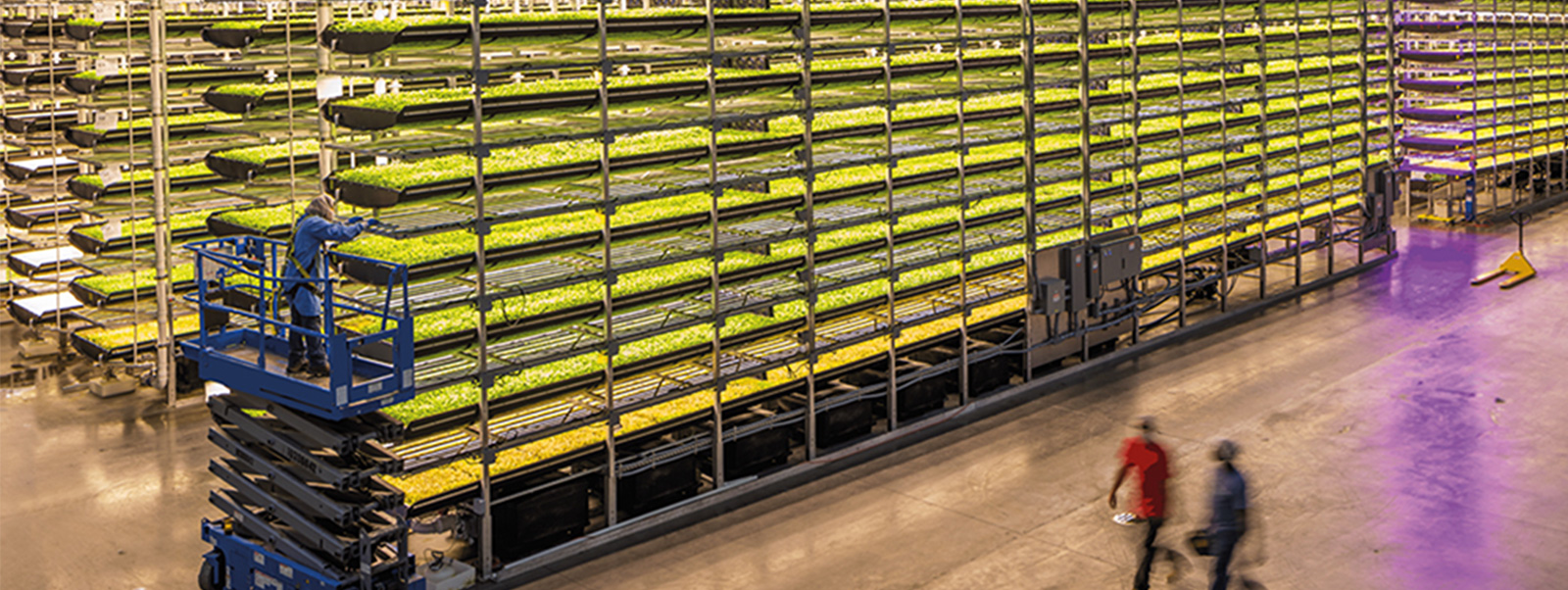 Agriculture 4.0 – The Future Of Farming Technology