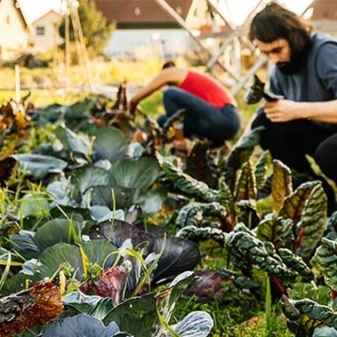 Sustainable And Resilient Food For Future Generations